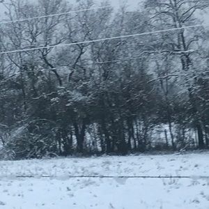 Meet your Posher, Monroe